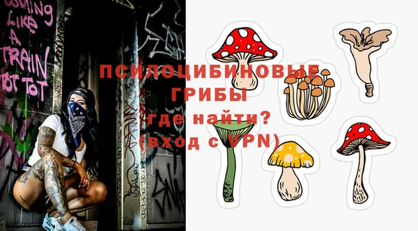 spice Абинск