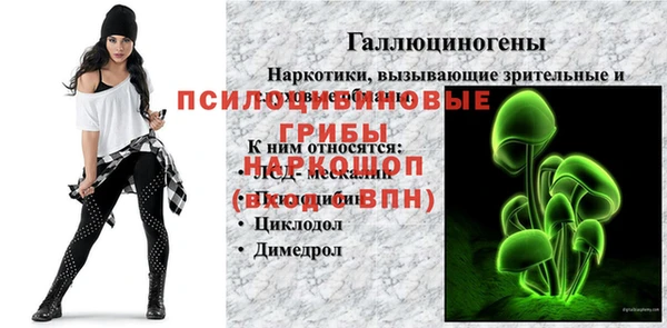 spice Абинск