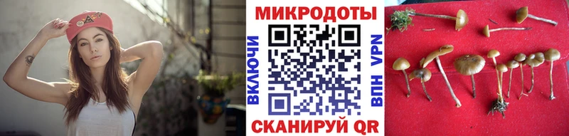 Галлюциногенные грибы прущие грибы Сольцы